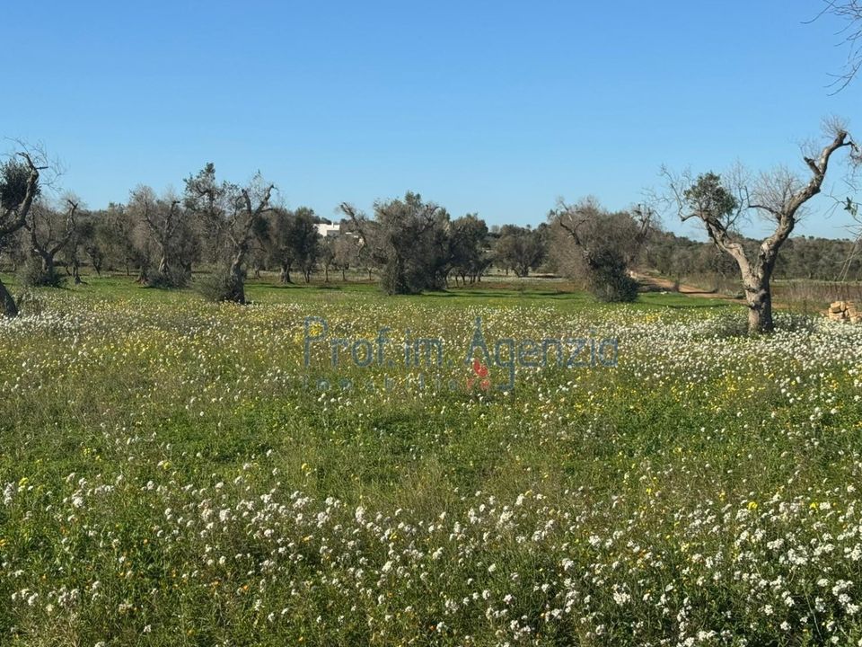 Lejlighed i Carovigno, Brindisi - foto 5
